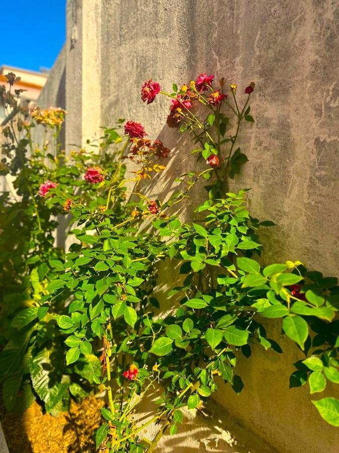 Lisabonna Guest House Amadora Exterior photo